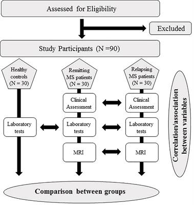 Coagulation/Complement Activation and Cerebral Hypoperfusion in Relapsing-Remitting Multiple Sclerosis